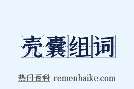 壳囊组词是什么意思的图片